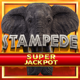 Stampede Jackpot